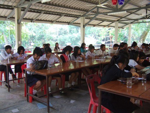 activity 25